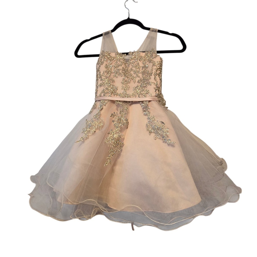 Tip Top Kids Blush Pink and Gold Embroidered Tulle Party Dress
